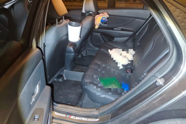Used Hyundai Elantra 2023 1.5L CVT GLX Elite Edition Left Rear Seat
