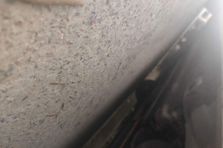Used Hyundai Elantra 2023 1.5L CVT GLX Elite Edition Chassis Rear Left