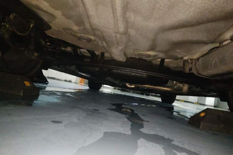 Used Hyundai Elantra 2023 1.5L CVT GLX Elite Edition Chassis Rear