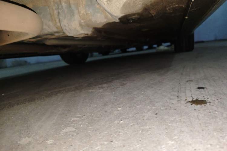 Used Hyundai Elantra 2023 1.5L CVT LUX Prestige Edition Chassis Rear Right