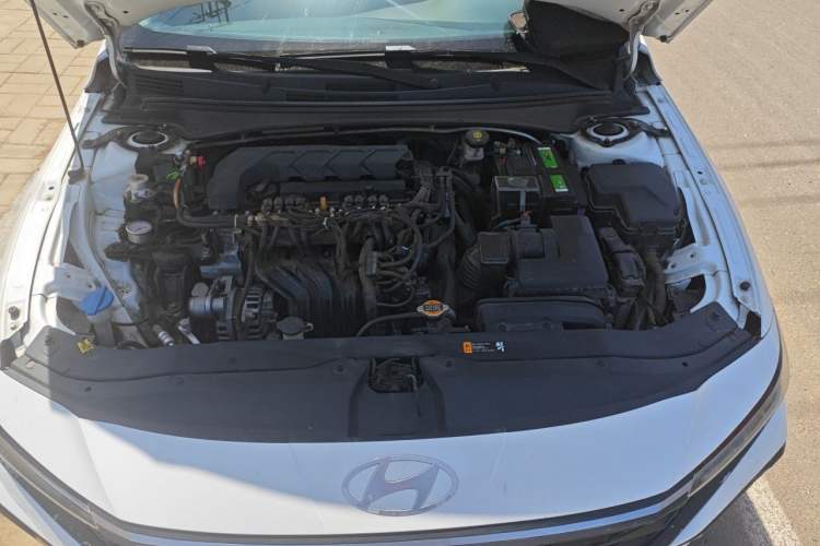 Used Hyundai Elantra 2023 1.5L CVT GLS Leading Edition Engine Bay