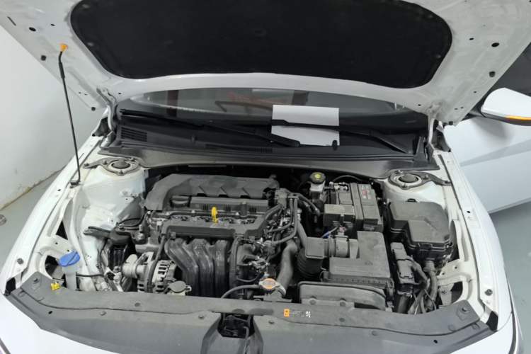 Used Hyundai Elantra 2023 1.5L CVT GLX Elite Edition Engine Bay
