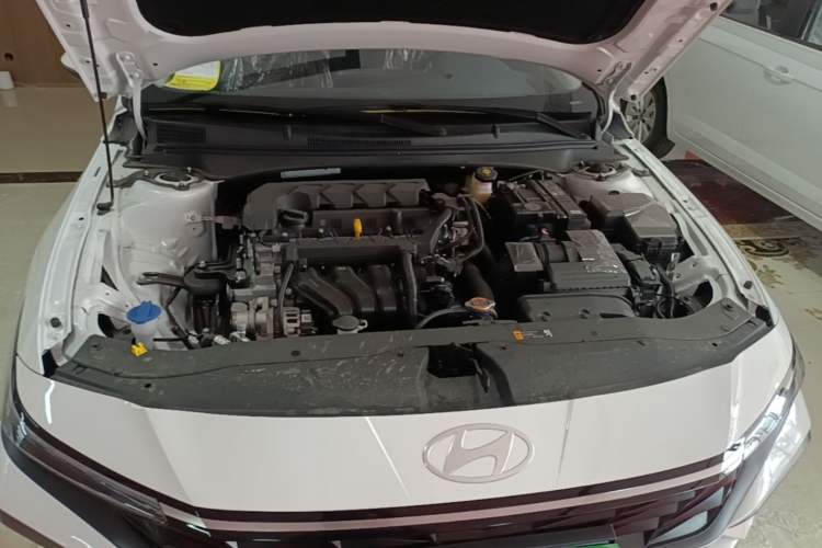 Used Hyundai Elantra 2023 1.5L CVT GLX Elite Edition Engine Bay