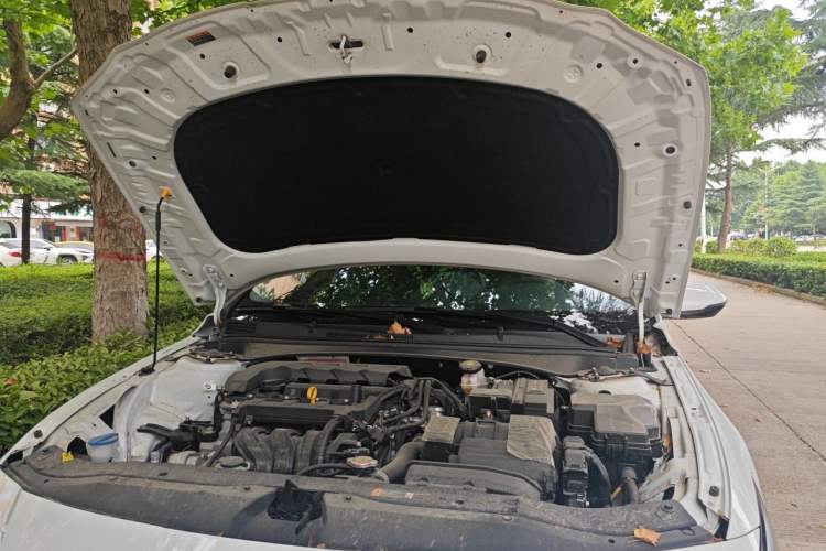Used Hyundai Elantra 2023 1.5L CVT GLX Elite Edition Engine Bay