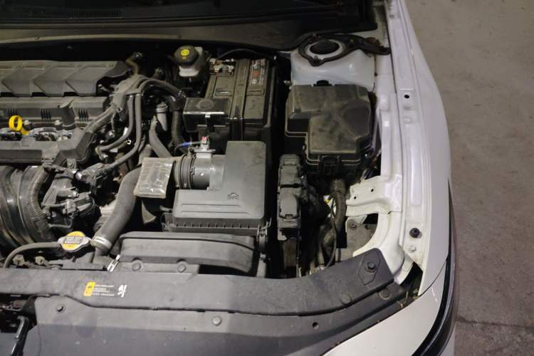 Used Hyundai Elantra 2023 1.5L CVT LUX Prestige Edition Engine Bay Left