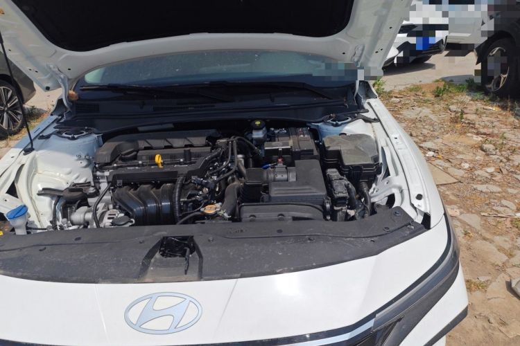 Used Hyundai Elantra 2023 1.5L CVT LUX Prestige Edition Engine Bay Left