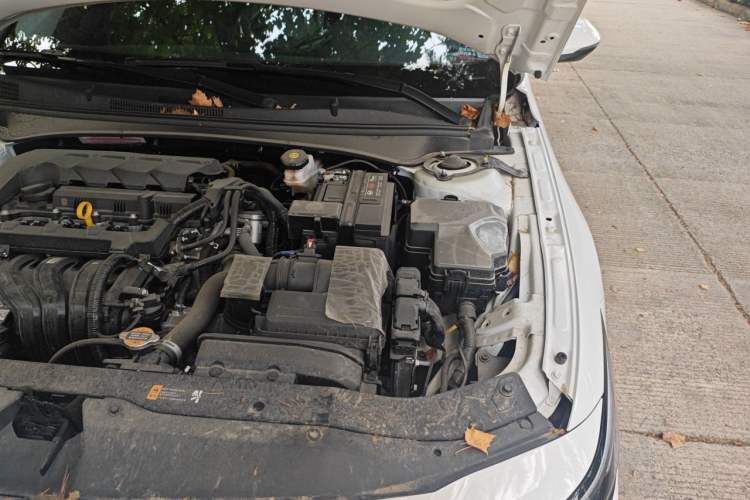 Used Hyundai Elantra 2023 1.5L CVT GLX Elite Edition Engine Bay Left