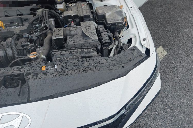 Used Hyundai Elantra 2023 1.5L CVT GLX Elite Edition Engine Bay Left
