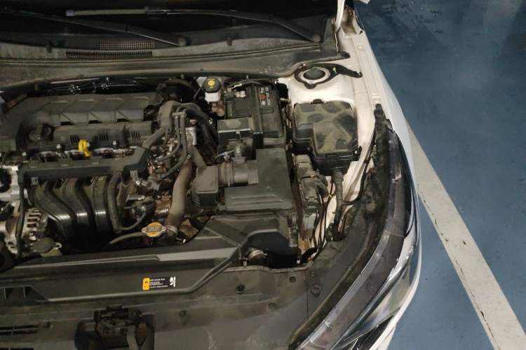 Used Hyundai Elantra 2023 1.5L CVT GLX Elite Edition Engine Bay Left