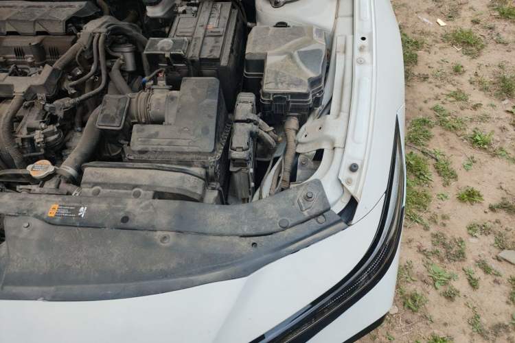 Used Hyundai Elantra 2023 1.5L CVT GLX Elite Edition Engine Bay Left