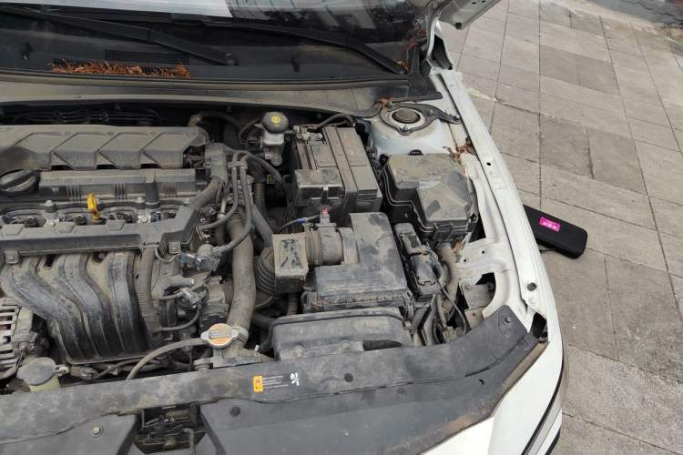 Used Hyundai Elantra 2023 1.5L CVT GLX Elite Edition Engine Bay Left