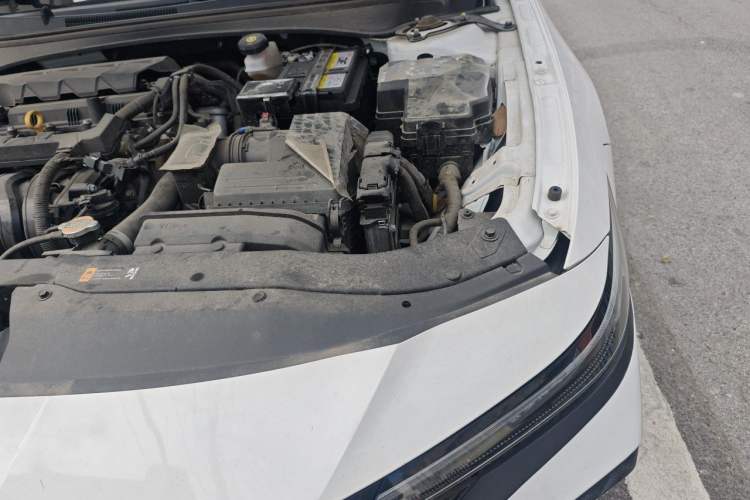 Used Hyundai Elantra 2023 1.5L CVT GLX Elite Edition Engine Bay Left