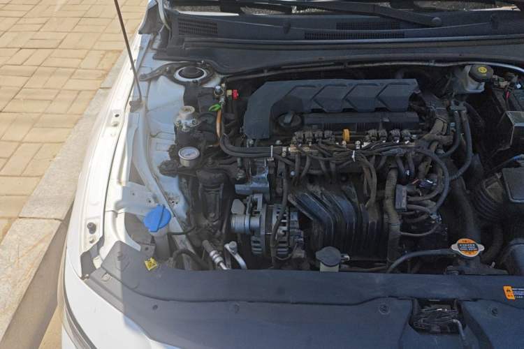 Used Hyundai Elantra 2023 1.5L CVT GLS Leading Edition Engine Bay Right