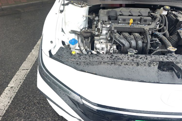 Used Hyundai Elantra 2023 1.5L CVT GLX Elite Edition Engine Bay Right