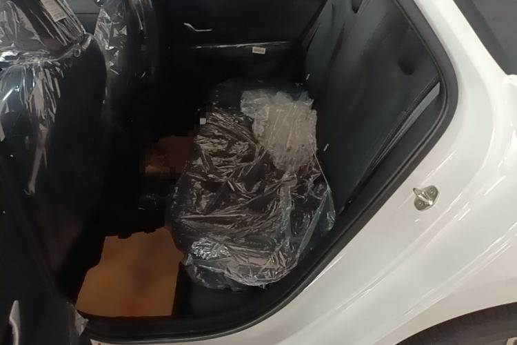 Used Hyundai Elantra 2023 1.5L CVT GLX Elite Edition Left Rear Seat