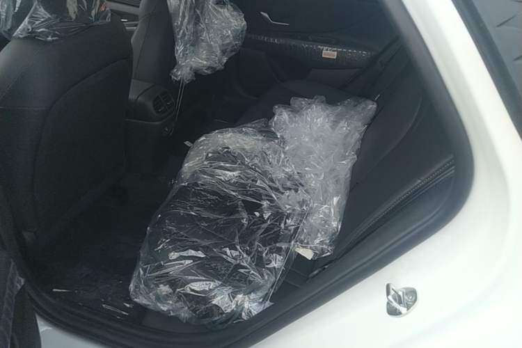 Used Hyundai Elantra 2023 1.5L CVT GLX Elite Edition Left Rear Seat