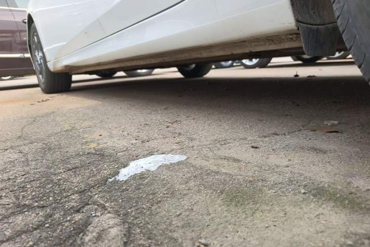 Used Hyundai Elantra 2023 1.5L CVT GLS Leading Edition Left Side Sill