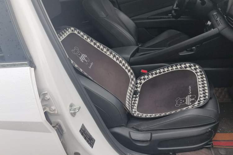 Used Hyundai Elantra 2023 1.5L CVT GLX Elite Edition Right Front Seat