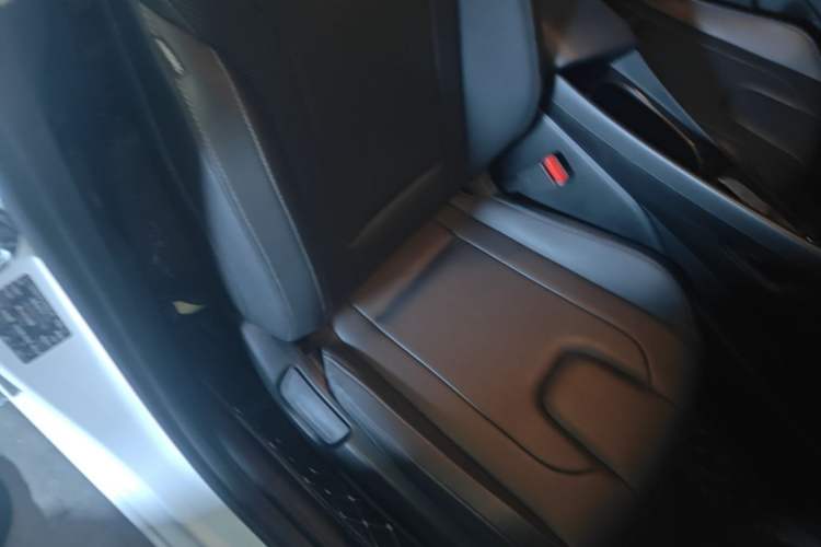 Used Hyundai Elantra 2023 1.5L CVT GLX Elite Edition Right Front Seat