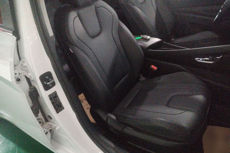 Used Hyundai Elantra 2023 1.5L CVT GLX Elite Edition Right Front Seat