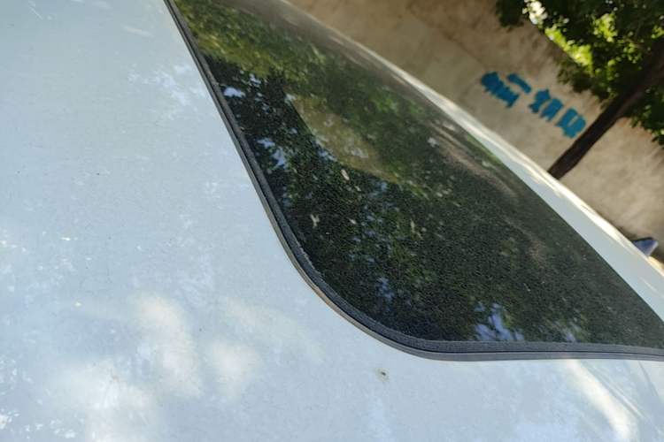 Used Hyundai Elantra 2023 1.5L CVT LUX Prestige Edition Roof