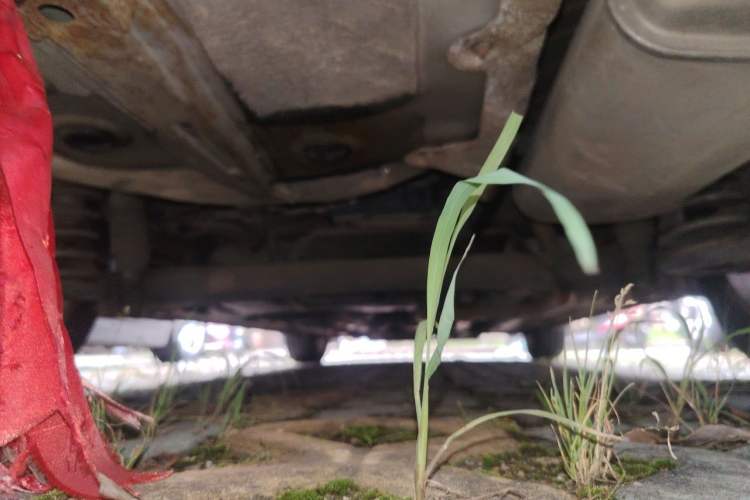 Used Hyundai Elantra (5th Generation / Langdong) 2012 1.6L Manual Leading Model Chassis Rear