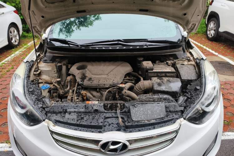 Used Hyundai Elantra (5th Generation / Langdong) 2013 1.6L Automatic Luxury Model Engine Bay