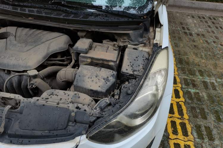 Used Hyundai Elantra (5th Generation / Langdong) 2013 1.6L Automatic Leading Model Engine Bay Left