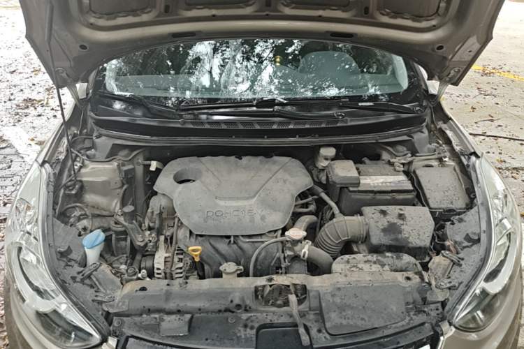 Used Hyundai Elantra (5th Generation / Langdong) 2015 1.6L Automatic Leading Model Engine Bay