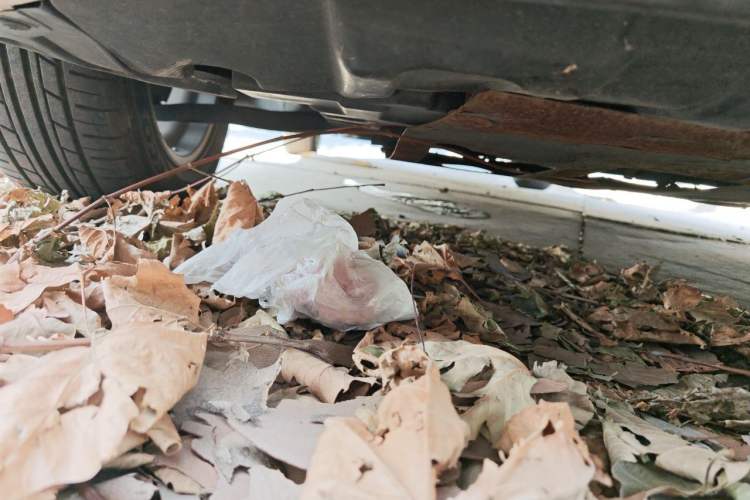 Used Hyundai Elantra (5th Generation / Langdong) 2015 1.6L Manual Leading Model Chassis Front Right