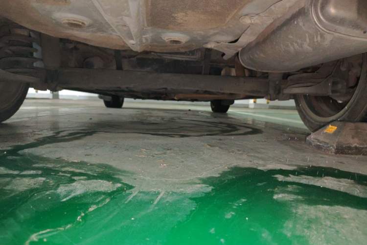 Used Hyundai Elantra (5th Generation / Langdong) 2015 1.6L Automatic Leading Model Chassis Rear