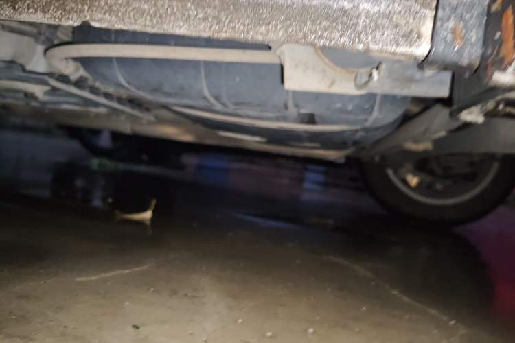 Used Hyundai Elantra (5th Generation / Langdong) 2015 1.6L Manual Leading Model Chassis Rear Left