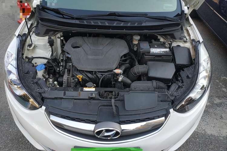 Used Hyundai Elantra (5th Generation / Langdong) 2015 1.6L Automatic Luxury Model Engine Bay
