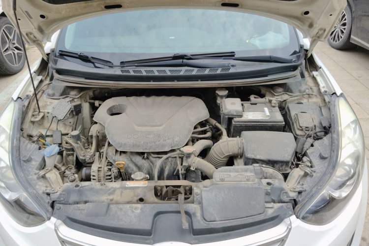 Used Hyundai Elantra (5th Generation / Langdong) 2015 1.6L Automatic Luxury Model Engine Bay