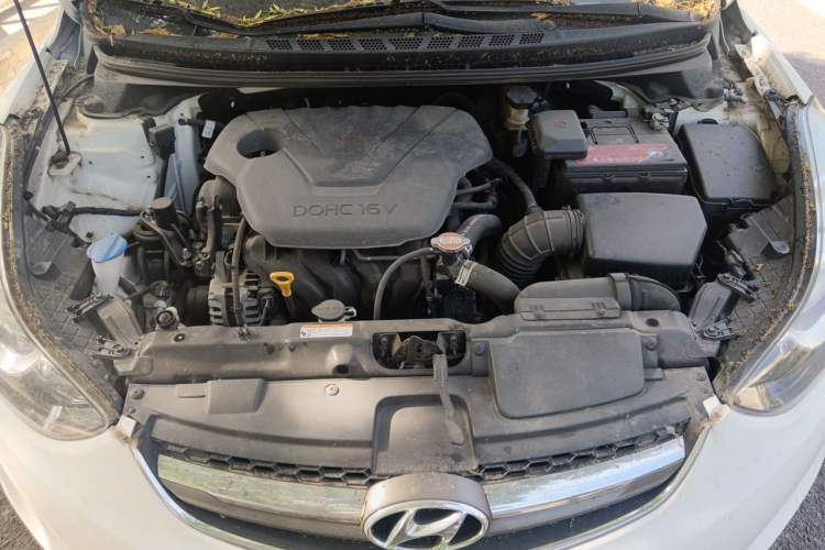 Used Hyundai Elantra (5th Generation / Langdong) 2015 1.6L Automatic Luxury Model Engine Bay