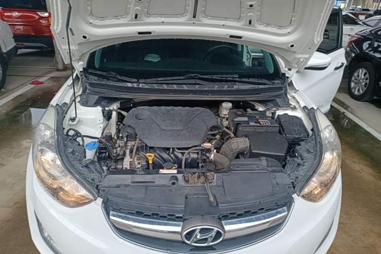Used Hyundai Elantra (5th Generation / Langdong) 2015 1.6L Automatic Leading Model Engine Bay