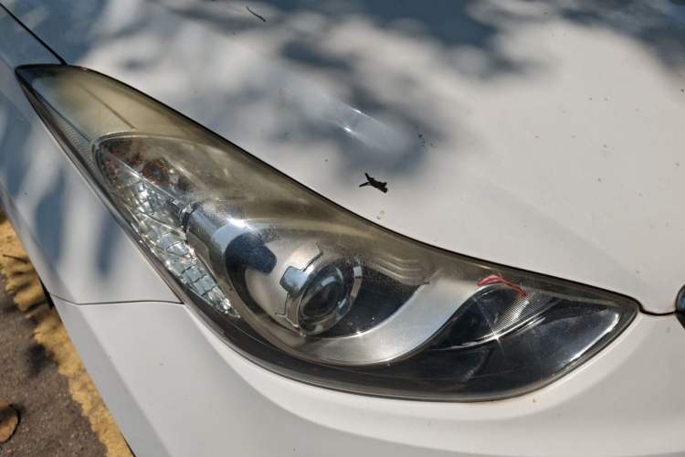 Used Hyundai Elantra (5th Generation / Langdong) 2015 1.6L Automatic Leading Model Right Front Headlight