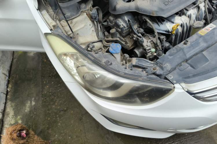 Used Hyundai Elantra (5th Generation / Langdong) 2015 1.6L Manual Fashion Edition Right Front Headlight