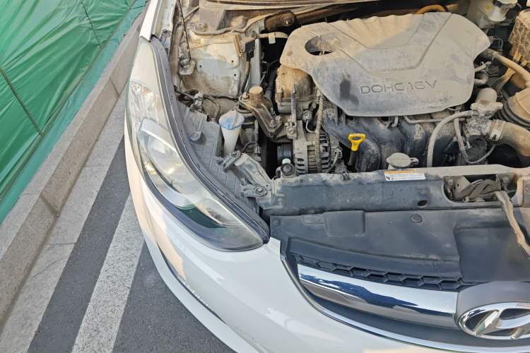 Used Hyundai Elantra (5th Generation / Langdong) 2015 1.6L Manual Leading Model Right Front Headlight