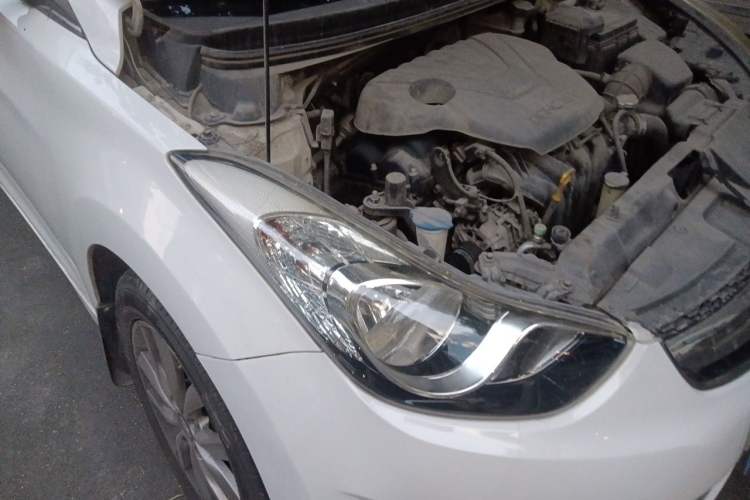 Used Hyundai Elantra (5th Generation / Langdong) 2015 1.6L Manual Leading Model Right Front Headlight