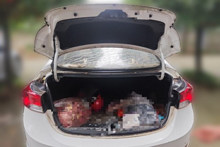 Used Hyundai Elantra (5th Generation / Langdong) 2015 1.6L Automatic Fashion Model Trunk