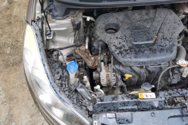 Used Hyundai Elantra (5th Generation / Langdong) 2015 1.6L Automatic Leading Model Engine Bay Right