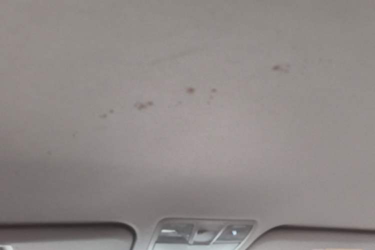 Used Hyundai Elantra (5th Generation / Langdong) 2015 1.6L Automatic Fashion Model Headliner