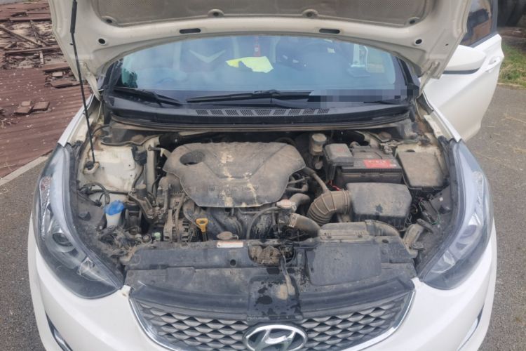 Used Hyundai Elantra (5th Generation / Langdong) 2016 1.6L Manual Fashion Edition Engine Bay