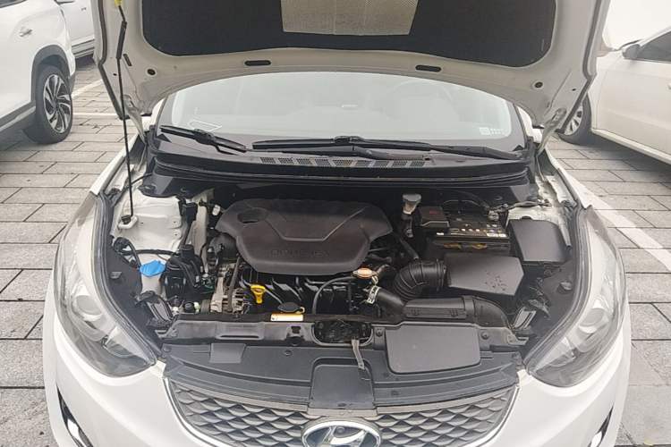 Used Hyundai Elantra (5th Generation / Langdong) 2016 1.6L Automatic Prestige Model Engine Bay
