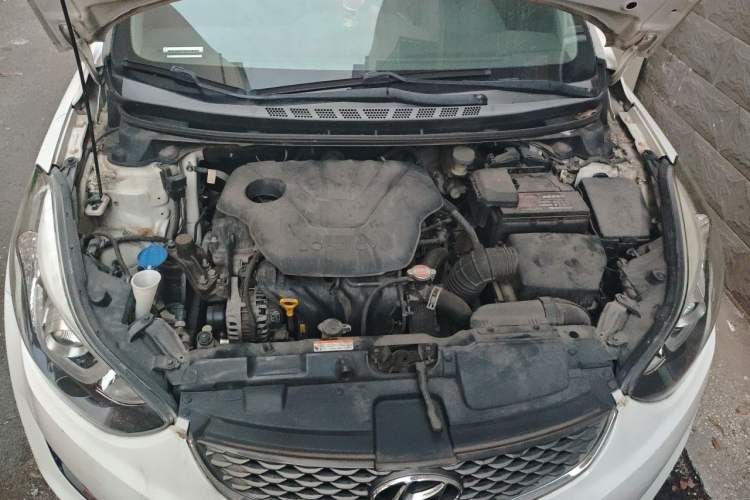 Used Hyundai Elantra (5th Generation / Langdong) 2016 1.6L Automatic Prestige Model Engine Bay