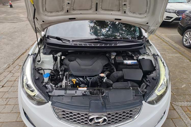 Used Hyundai Elantra (5th Generation / Langdong) 2016 1.6L Automatic Prestige Model Engine Bay