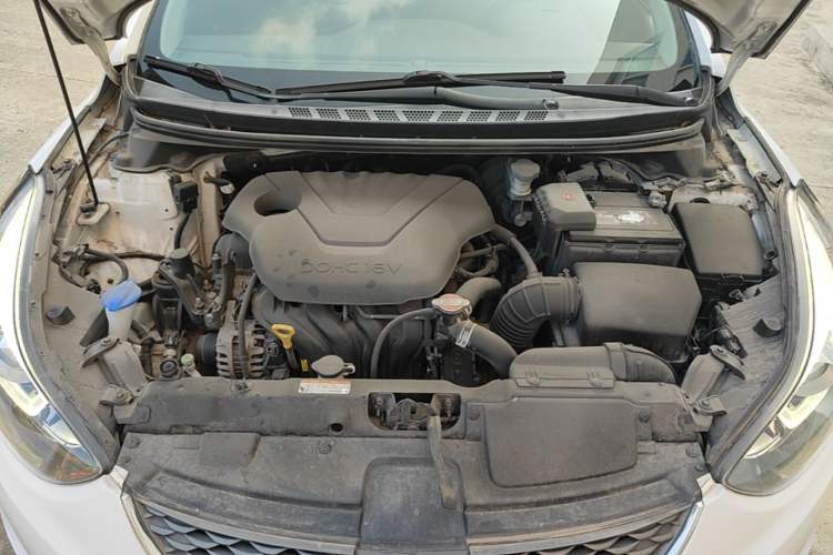 Used Hyundai Elantra (5th Generation / Langdong) 2016 1.6L Automatic Smart Version Engine Bay