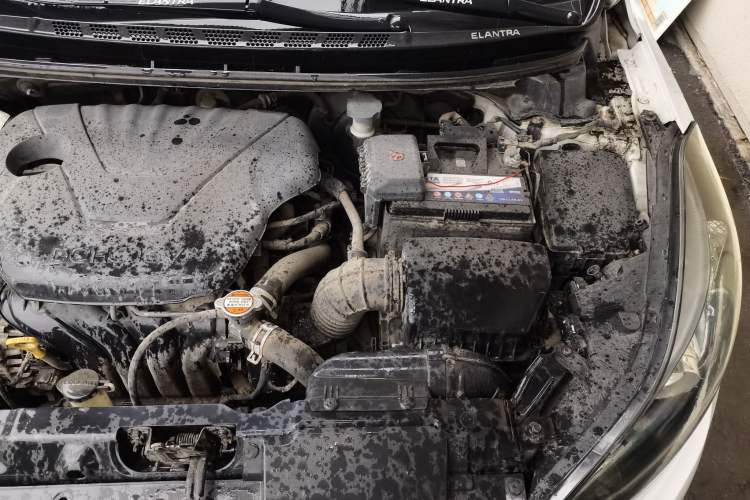 Used Hyundai Elantra (5th Generation / Langdong) 2016 1.6L Manual Luxury Model Engine Bay Left