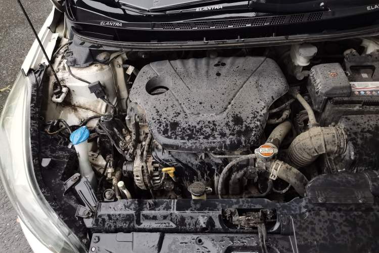Used Hyundai Elantra (5th Generation / Langdong) 2016 1.6L Manual Luxury Model Engine Bay Right